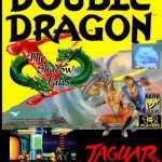 Double Dragon 5 The Shadow Falls