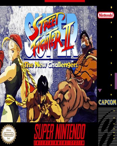 Super Street Fighter 2 The New Challengers